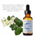 Laritelle Organic Hormonal Balance Oil 1 oz Laritelle Organic Hormonal Balance Oil 1 oz