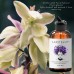 Laritelle Organic Post-Shampoo Hair Strengthening Treatment 2 oz Laritelle Organic Post-Shampoo Hair Strengthening Treatment 2 oz