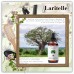 Laritelle Organic Hair Care Set Nature's Love: Shampoo 17.5 oz + Conditioner 16 oz + Hair Loss Treatment 4 oz Laritelle Organic Hair Care Set Nature's Love: Shampoo 17.5 oz + Conditioner 16 oz + Hair Loss Treatment 4 oz