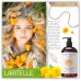 Laritelle Organic Hair Care Set Sensual Bliss: Shampoo 17.5 oz + Conditioner 16 oz + Hair Loss Treatment 4 oz