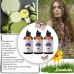 Laritelle Organic Hair Care Set Herbal Magic: Shampoo 17.5 oz + Conditioner 16 oz + Bonus Post-Shampoo Hair Strengthening Treatment 