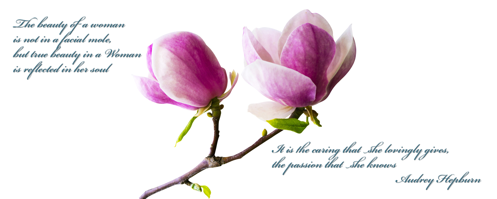 Our 10 Year Anniversary Sale